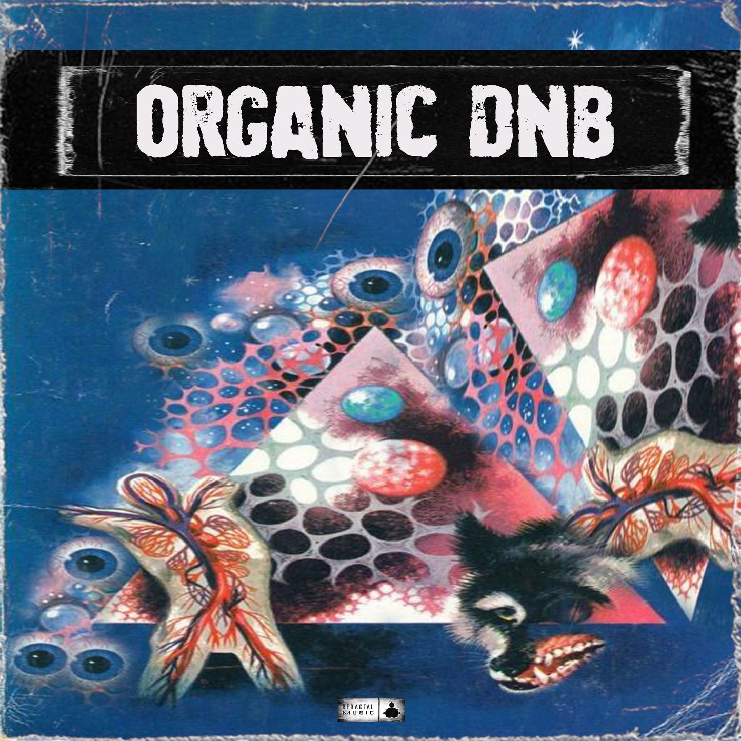 ORGANIC DNB Sample Pack Art Cover