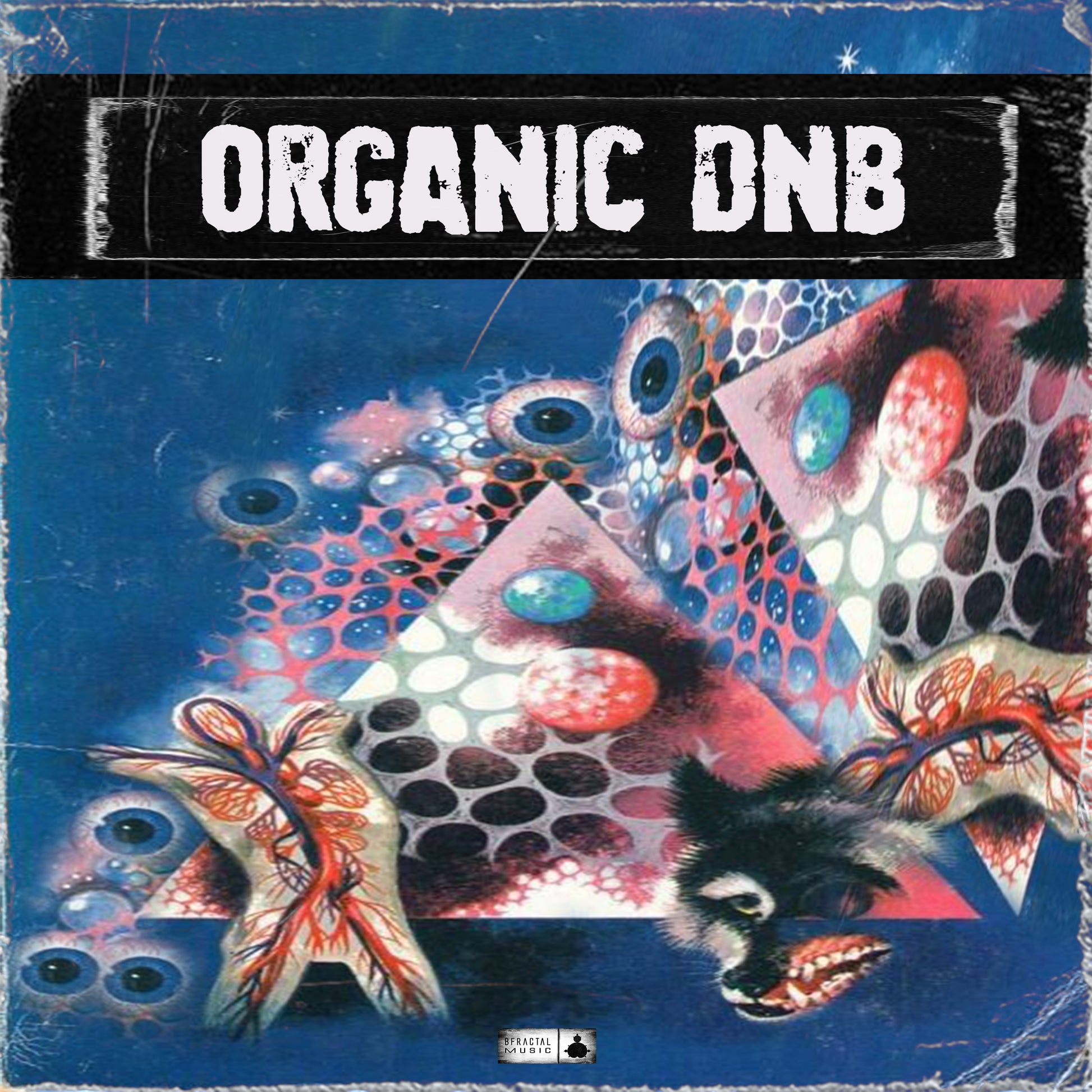ORGANIC DNB Sample Pack Art Cover